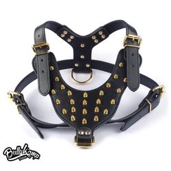 BullyKAMP Harness