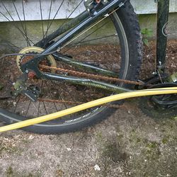 Bca 29 2025 inch mountain bike