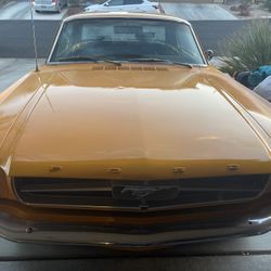 1965 Mustang 