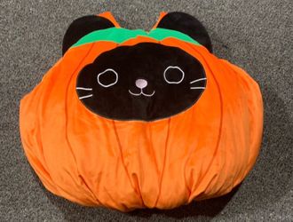 New Squishmallows Calio the Cat in a Pumpkin Youth Halloween Costume One Size Fits Most