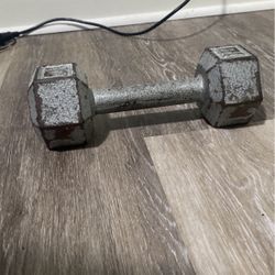 10lb Dumbbell 
