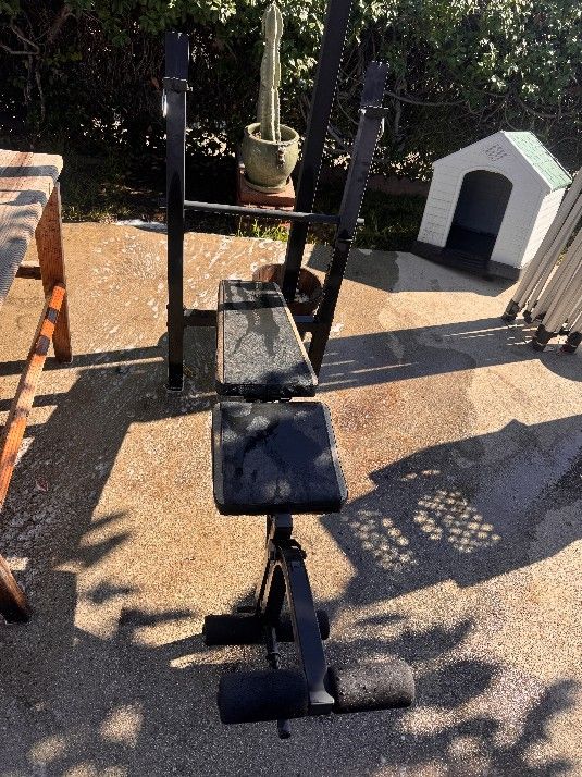 Cap Strength Weight Bench