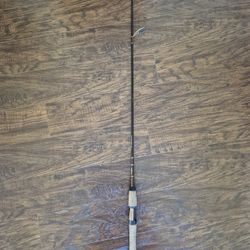 FENWICK Legacy LG 65S L-2 Rod 