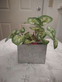 Mother's Day Gifts