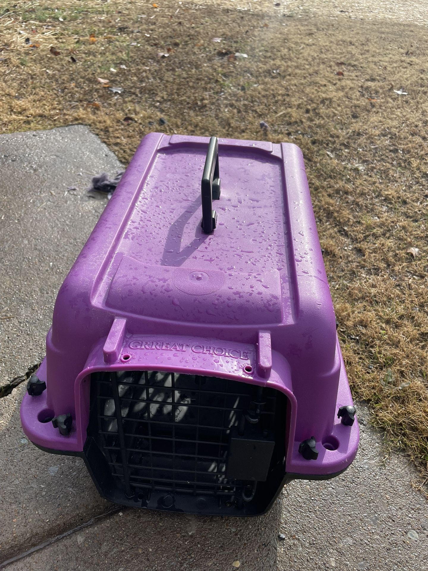Pet Carriage