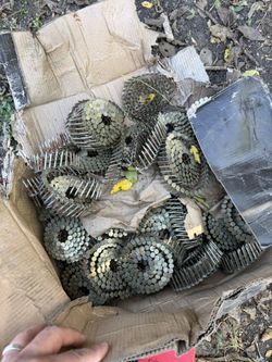 Roofing Nails
