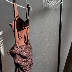 Brown Dress 