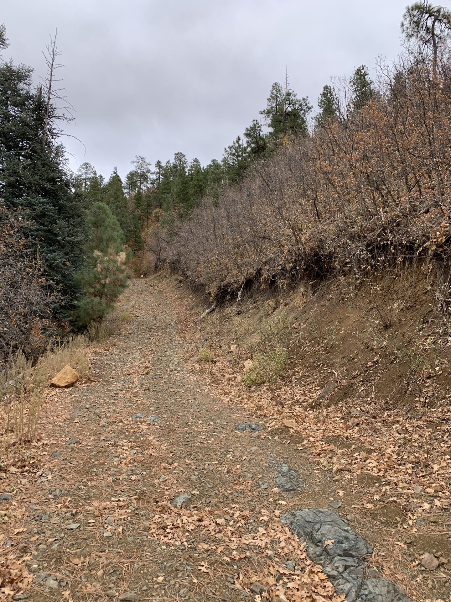 2 acre lot