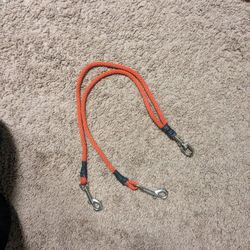 Split Dog Leash