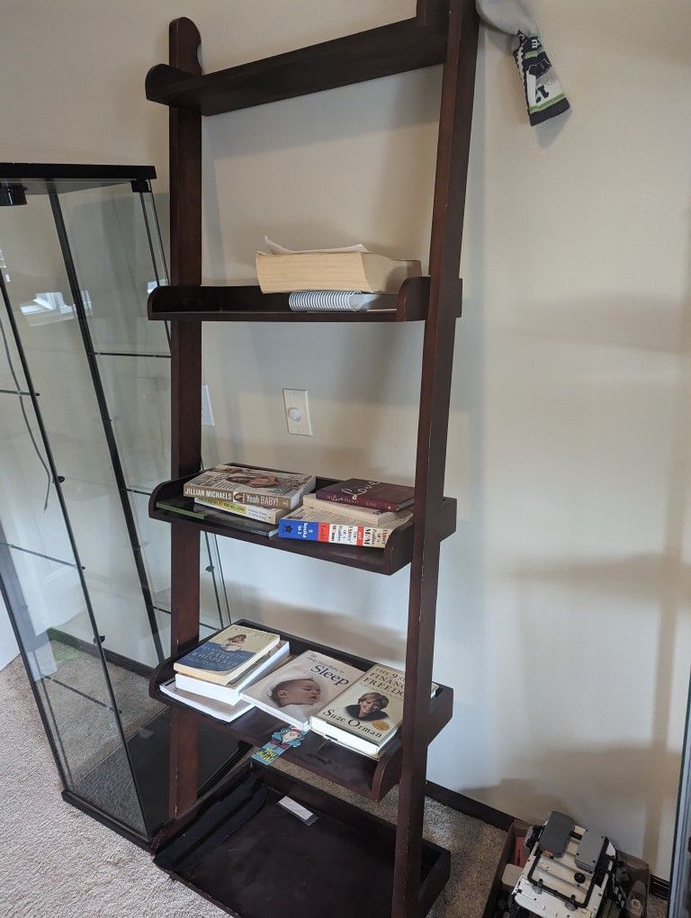 Leaning Ladder Book Case Shelf