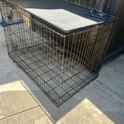 Large Dog Crate