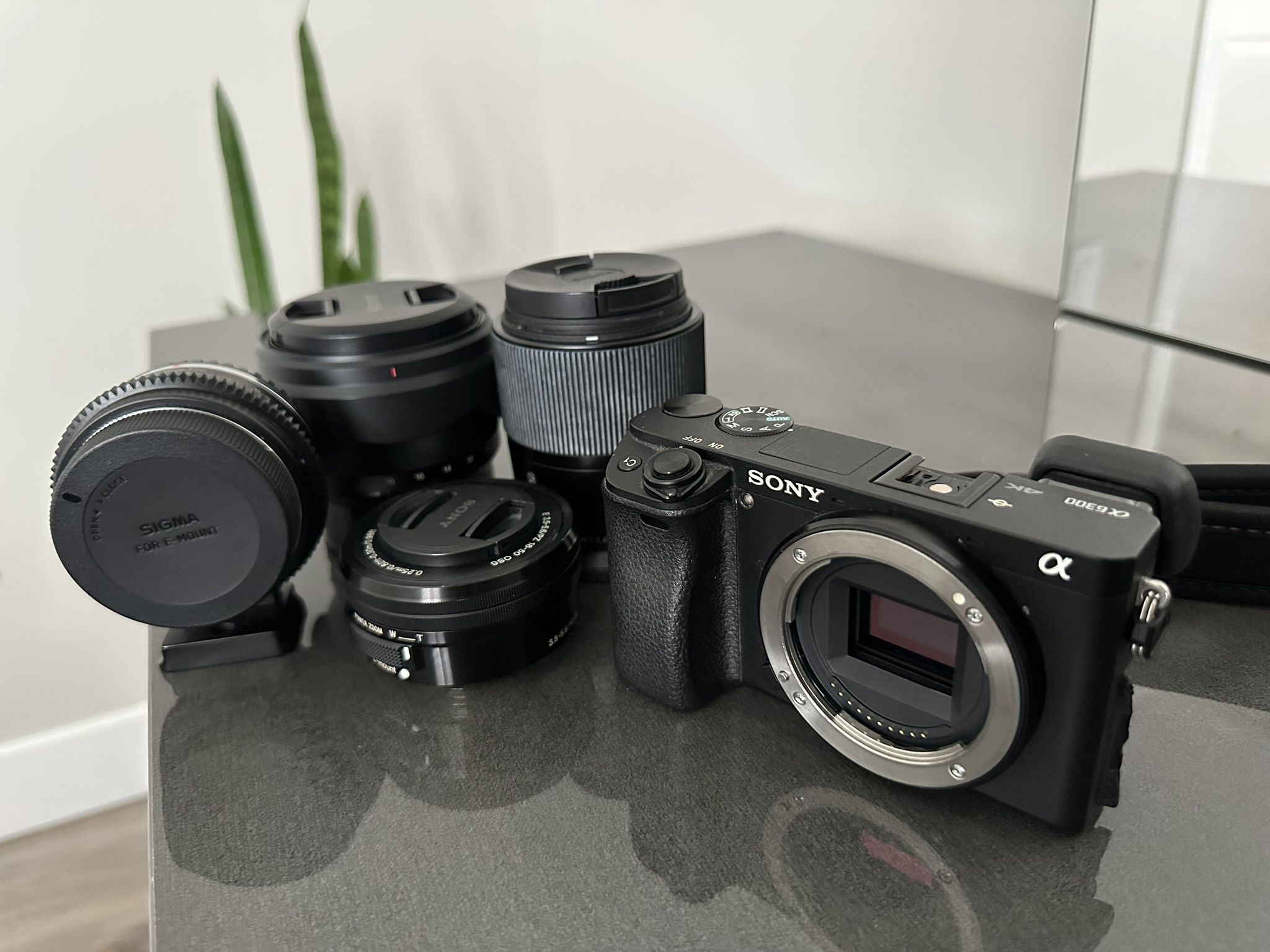 Sony A6300 and Lens