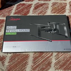 TV Mount