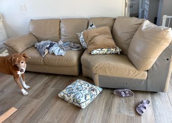 Free leather sectional