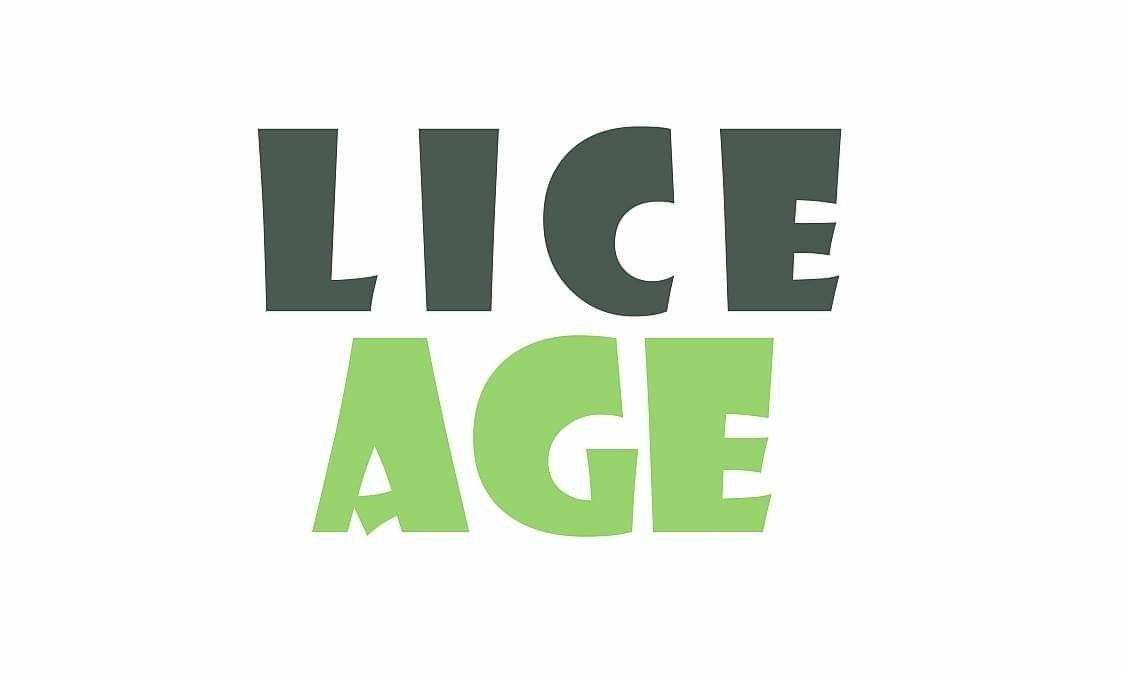 Professional Lice Treatment