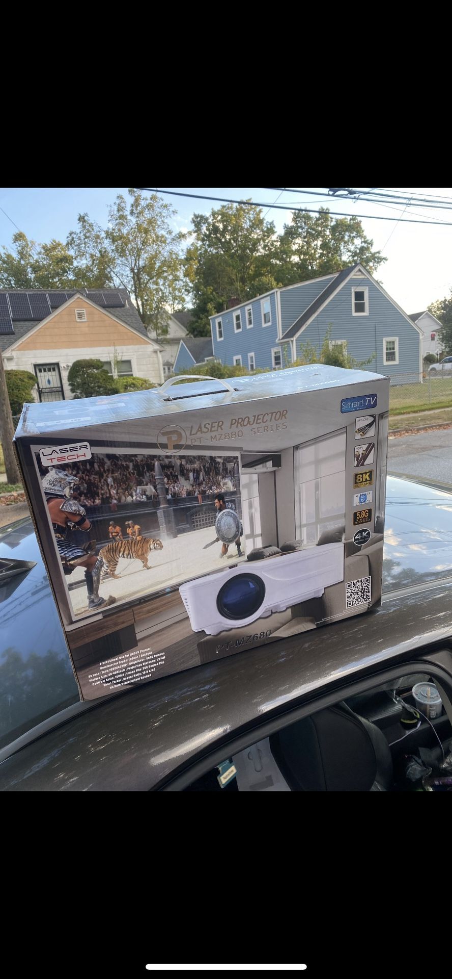 Projector System
