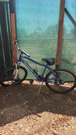Schwinn bike