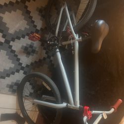 Tony Hawk 24inch BMX 