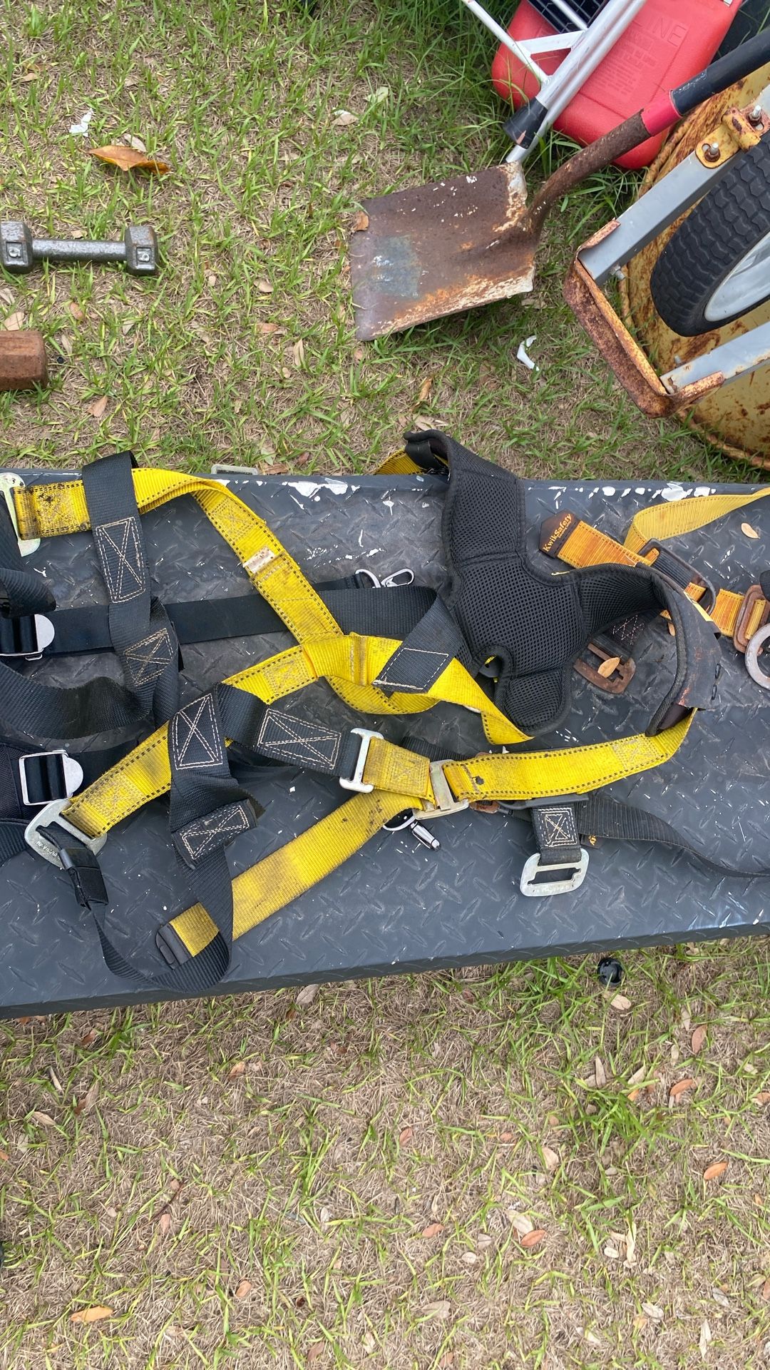 Harnesses two of them
