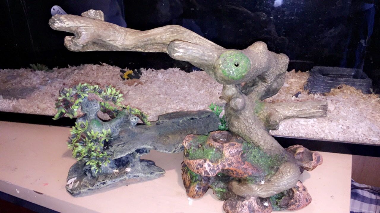 Reptile tank accessories
