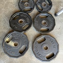 Olympic Bumper Weights