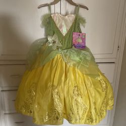 Princess And The Frog Costume