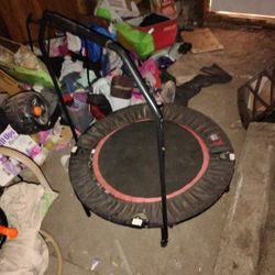 Trampoline Gym