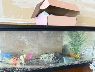 Fish Tank