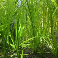 🍤🍤🍤🍤🍤🍤🍤🍤