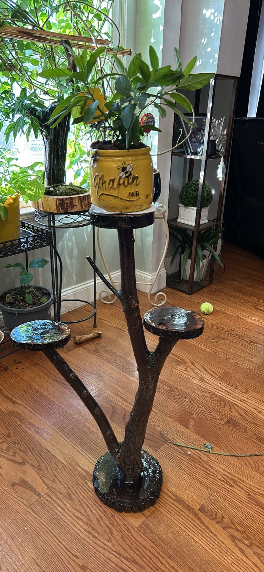 Plant Stand