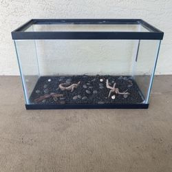 I0 Gallon Fish Tank