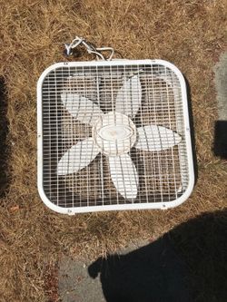 Fan