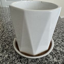 Plant Pot