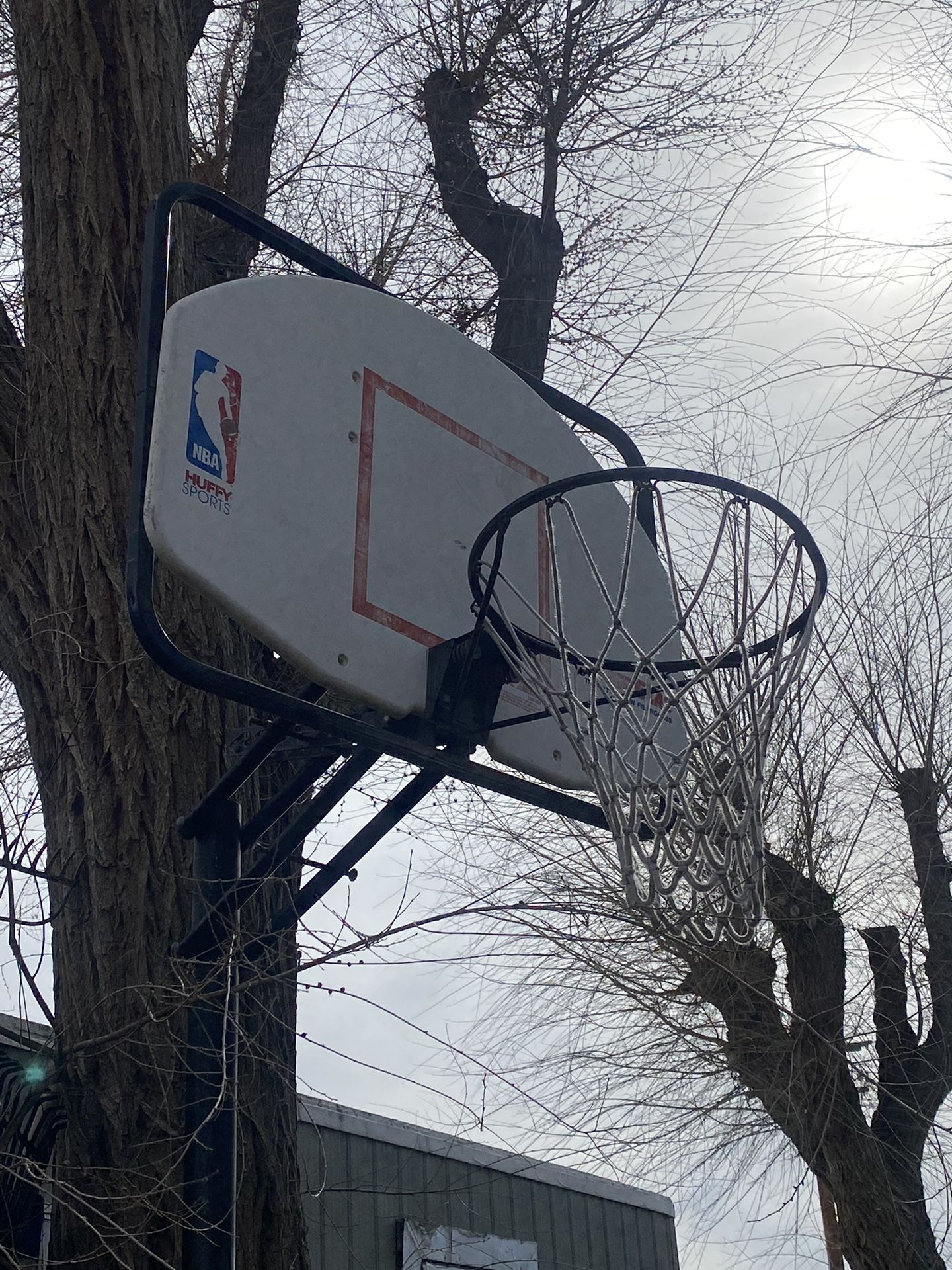 Basketball Hoop