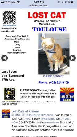 Please help us find him