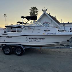 Seaswirl Striper 19 Cuddy Cabin