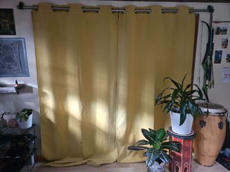 blackout curtains - 2 long panels yellow