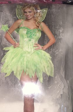 Adult Tinkerbell Costume