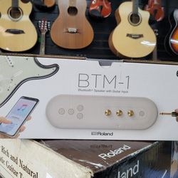 Roland BTM 1 Bluetooth Speaker