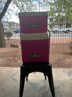 Pink igloo coolers