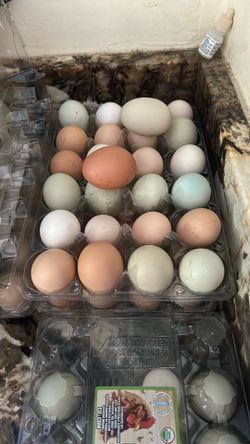 Chef Eggs