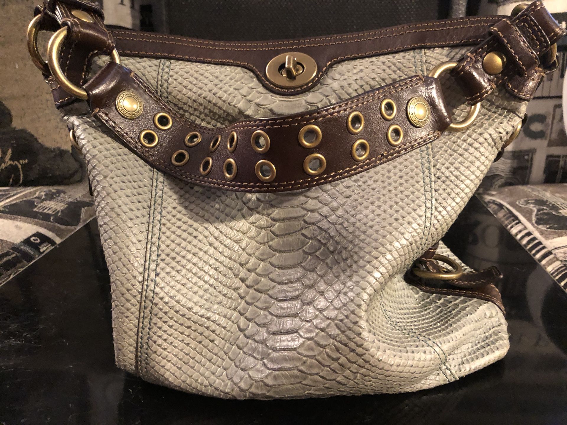 Mineral Chelsea Python Coach Bag