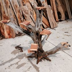 CUP CAKES CEDAR STAND