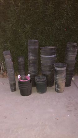 Over 150 large/medium/small pots