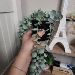 Fake Hanging Plants