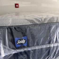 Sealy Queen Mattresses