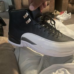 Jordan 12 