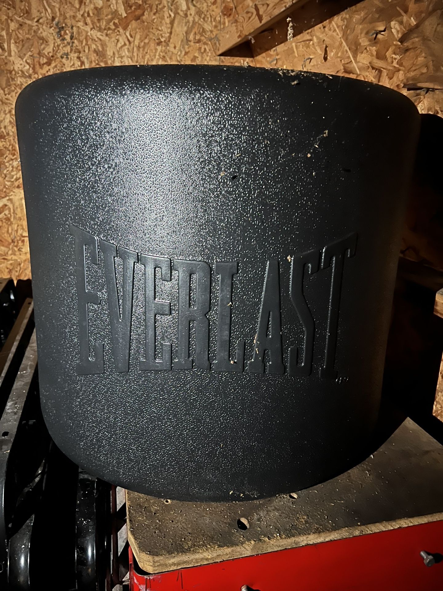 Everlast Punching Bag