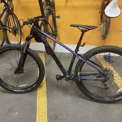Roscoe 6 Purple Finish Mountain Bike
