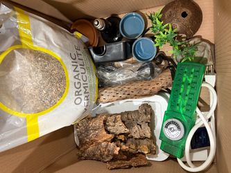 Reptile Box